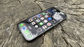 iPhone 15 Pro on a tree stump