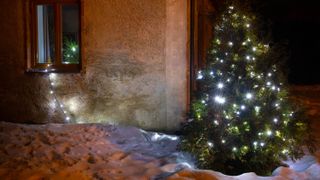 A Christmas tree planted outside in the snow and decorated with string lights