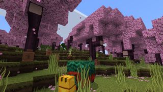 A screenshot of PureBDcraft