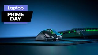 Razer DeathAdder V2 gaming mouse