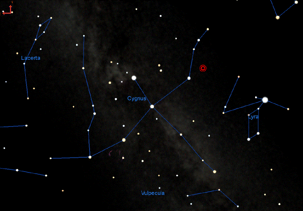 The constellation Cygnus, the swan.