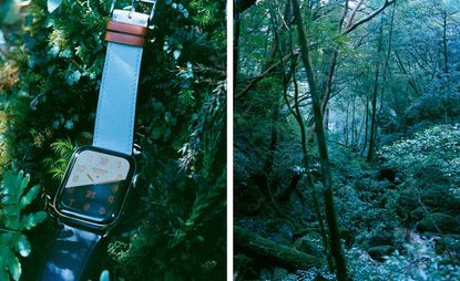 Two images. Left, Apple Watch Hermès Series 4 placed on shrubbery. Right, a forest with lots of trees and plants.