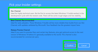 How to install Windows 11 step 8: Dev Channel