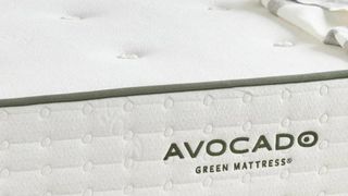 A close-up of the Avocado Green logo on the Avocado Green Mattress