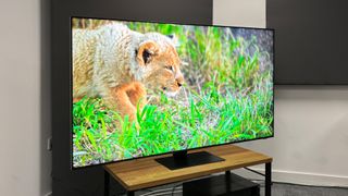 Samsung QN95D Neo-QLED TV slight angle with screen showing lion cub