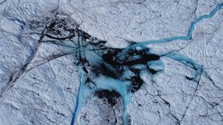 Algae on the surface of the ice in Greenland.