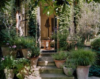 Rose Uniacke’s garden, looking into the house