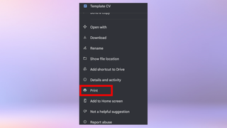 A screenshot of the document menu in Google Drive with "Print" being selected