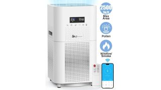 Dr J Professional air purifier