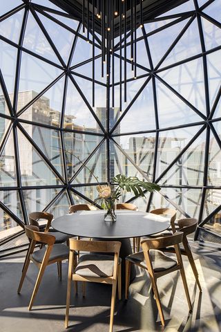 A round table with 8 wood and leather chairs with a plant filled vase in the center of the table