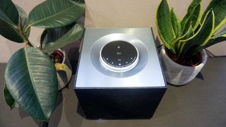 Naim Mu-so QB 2 on a table by a plant