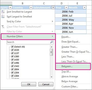 How to filter in Excel