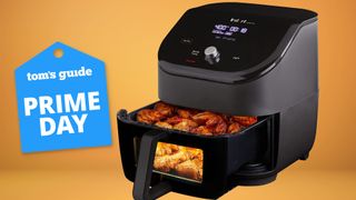 Instant Pot Vortex Plus Air Fryer Oven