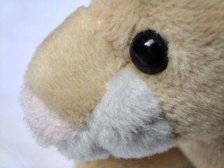 Xiaomi Mi 11 macro: toy lion