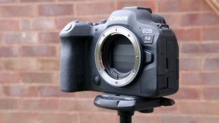 Canon EOS R6 II på stativ foran en murvegg