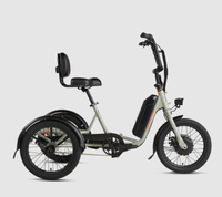 Rad Power RadTrike: was $2,499 now $1,299 @ Rad Power