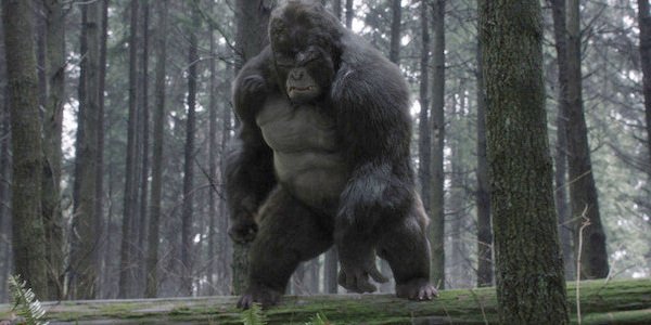 the cw the flash gorilla grodd