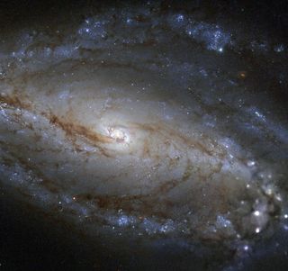 Galaxy NGC 613 