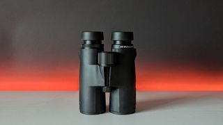 Main view of the SVBONY SV47 10x42 binoculars