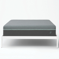 Tuft &amp; Needle New Mint Mattress: was $1,995 now $1,596 @ Amazon