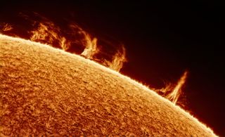 close up detailed views of the sun with a grassy looking orange surface and a series of fiery looking peaks stretching high above the solar limb.