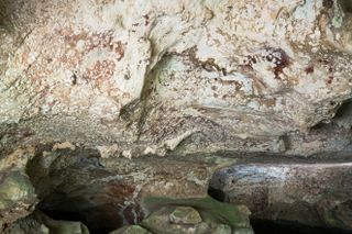 Interior of a cave in Sulawesi