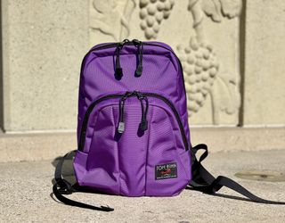 Tom Bihn Paradigm Alphaviolet Hero