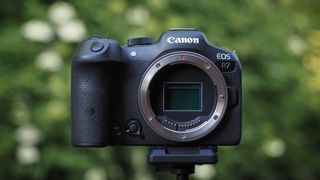 Canon EOS R7 sample