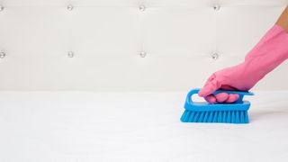 A hand wearing a rubber glove uses a soft bristled brush to clean a mattress after incorrectly cleaning the cover with bleach