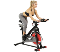 Sunny Exercise Cycling Bike: was $399 now $302 @ Amazon