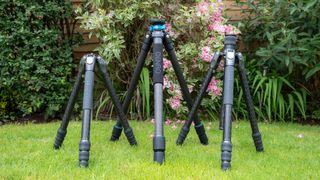 Benro Mach3, Benro Rhino and Benro Tortoise tripods in a garden