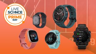 best Prime Day fitness tracker deals