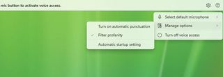 Voice access auto punctuations