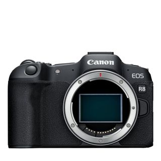 Canon EOS R8 on a white background