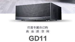 SIlverstone GD11 case