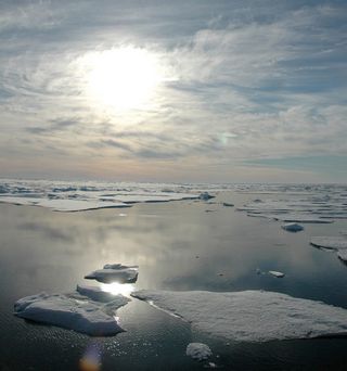 arctic sea ice