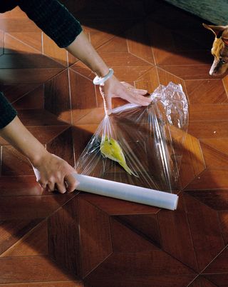 plastic roller on wooden flooring