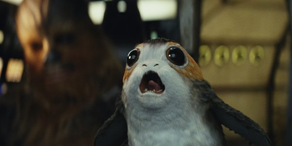 A Porg annoying Chewie while he&#039;s trying to drive.