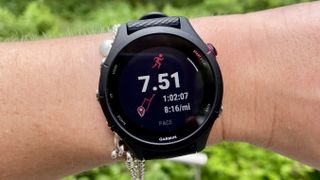 a photo of the Garmin Forerunner 255S Music