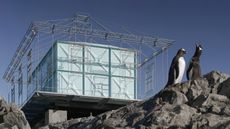 balbek bureau Vernadsky art installation at Research Base in Antarctica