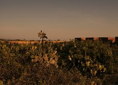 Los Atlantes, a land art installation by Bosco Sodi consisting of 64 cubes, each comprising 1,600 bricks