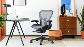 The Herman Miller Aeron chair sitting in an office next to a desk and a cabinet