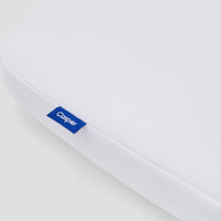 Foam Pillow with Snow Technology™was from $139 now $125.10 at Casper