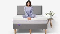 Purple Plus Mattress: was $1,499 now from $1,299 @ Purple