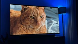 Image de Jones, le chat du film Aliens, montrée sur le téléviseur LG G4 OLED. Un lampadaire émettant une lumière bleue se trouve à droite du téléviseur. 