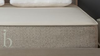 Birch Natural Mattress