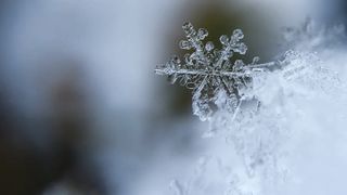 Snowflake macro image