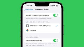 A screenshot showing the new Clean Up Automatically feature in the iOS 17 beta's Password options menu