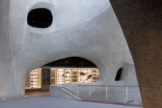 curvaceous interior of Richard Gilder Center