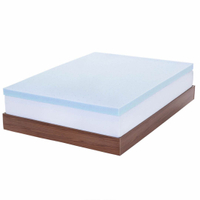 3. Lucid Gel Memory Foam Topper:&nbsp;was from&nbsp;$42.99&nbsp;$49.99 at Lucid Mattress
&nbsp;